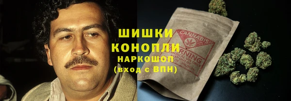 spice Горняк