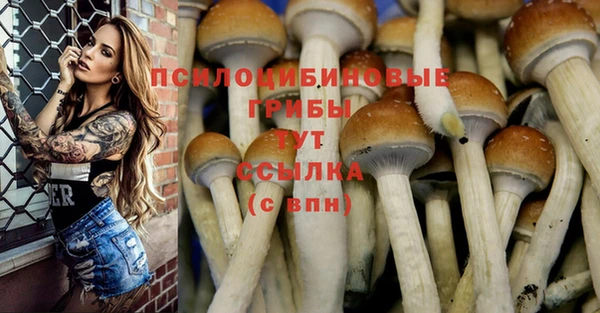 СК Вязники