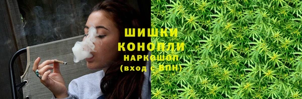 spice Горняк