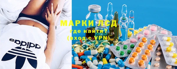 spice Горняк