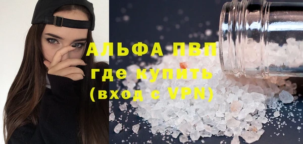 spice Горняк