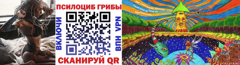 Псилоцибиновые грибы MAGIC MUSHROOMS как найти закладки Дербент